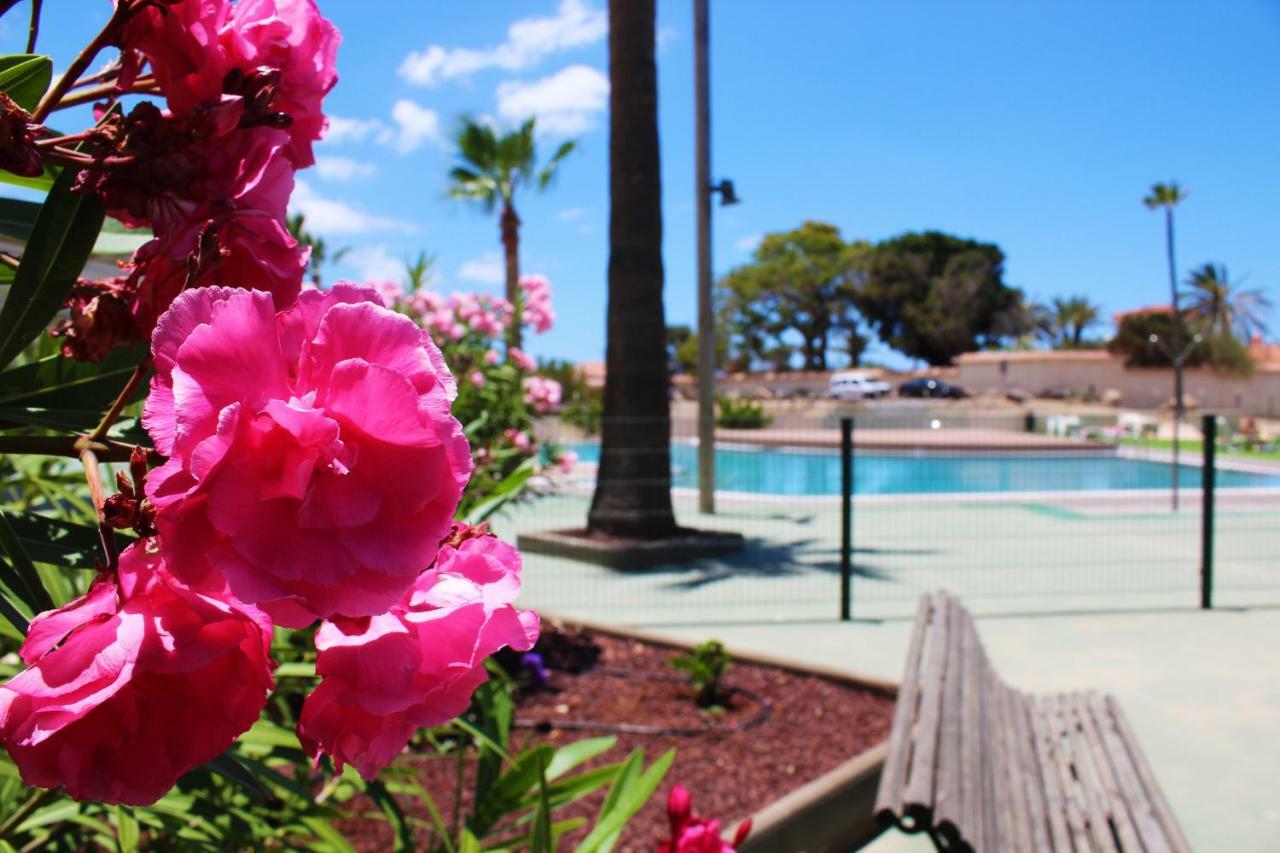 Soleado Apartamento Vistas Al Mar Los Cristianos Лос Кристианос Экстерьер фото